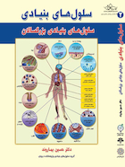 سلول های بنیادی جلد دوم بزرگسالان